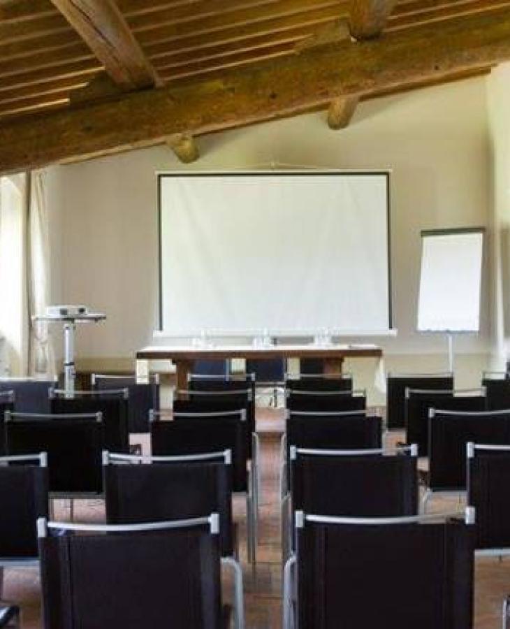 Rustic conference room with elegant chairs, cozy and bright atmosphere.